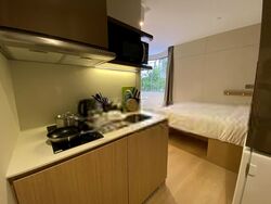 Mount Elizabeth Link (D9), Apartment #475553471